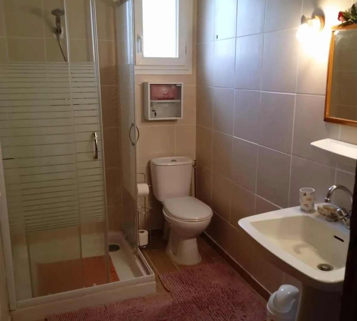 Les Sycomores Appartement Prive Avec Jardin Sisteron